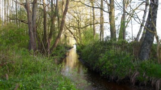 Bild2